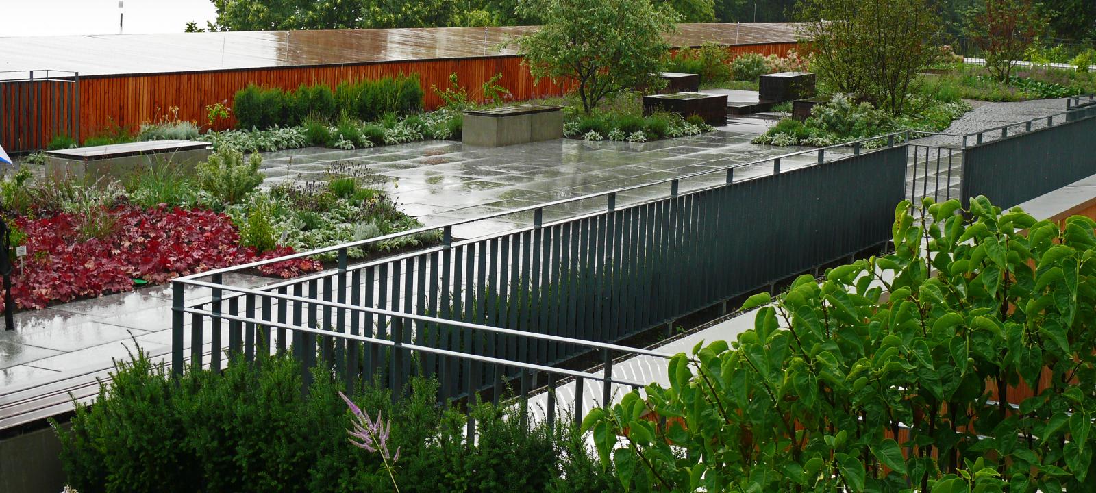 Roof garden during rainfall