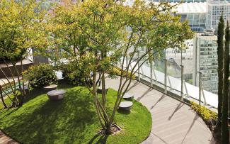 Roof garden with circular lawn patch and trees 