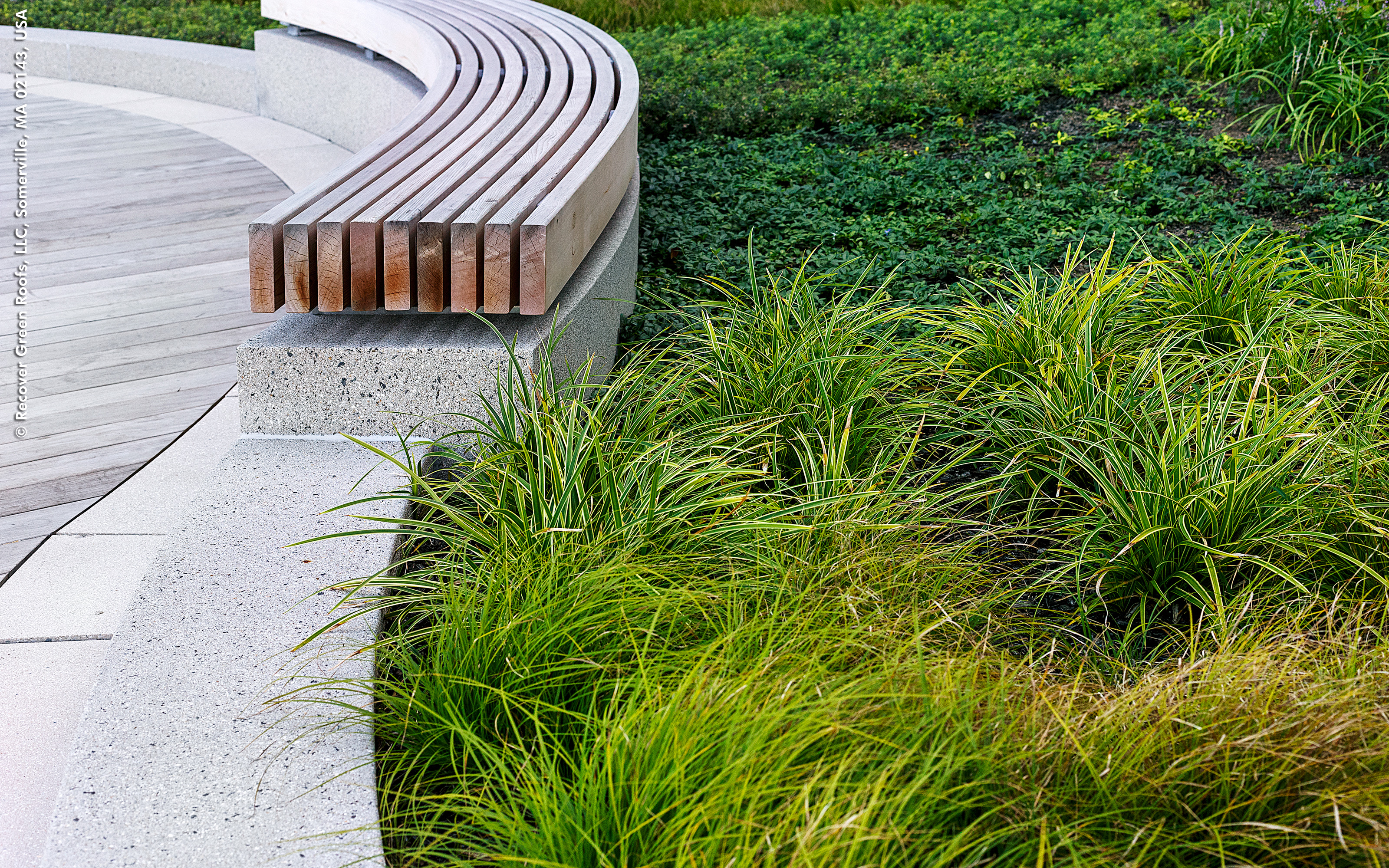 Curved bench and plant bed with grasses