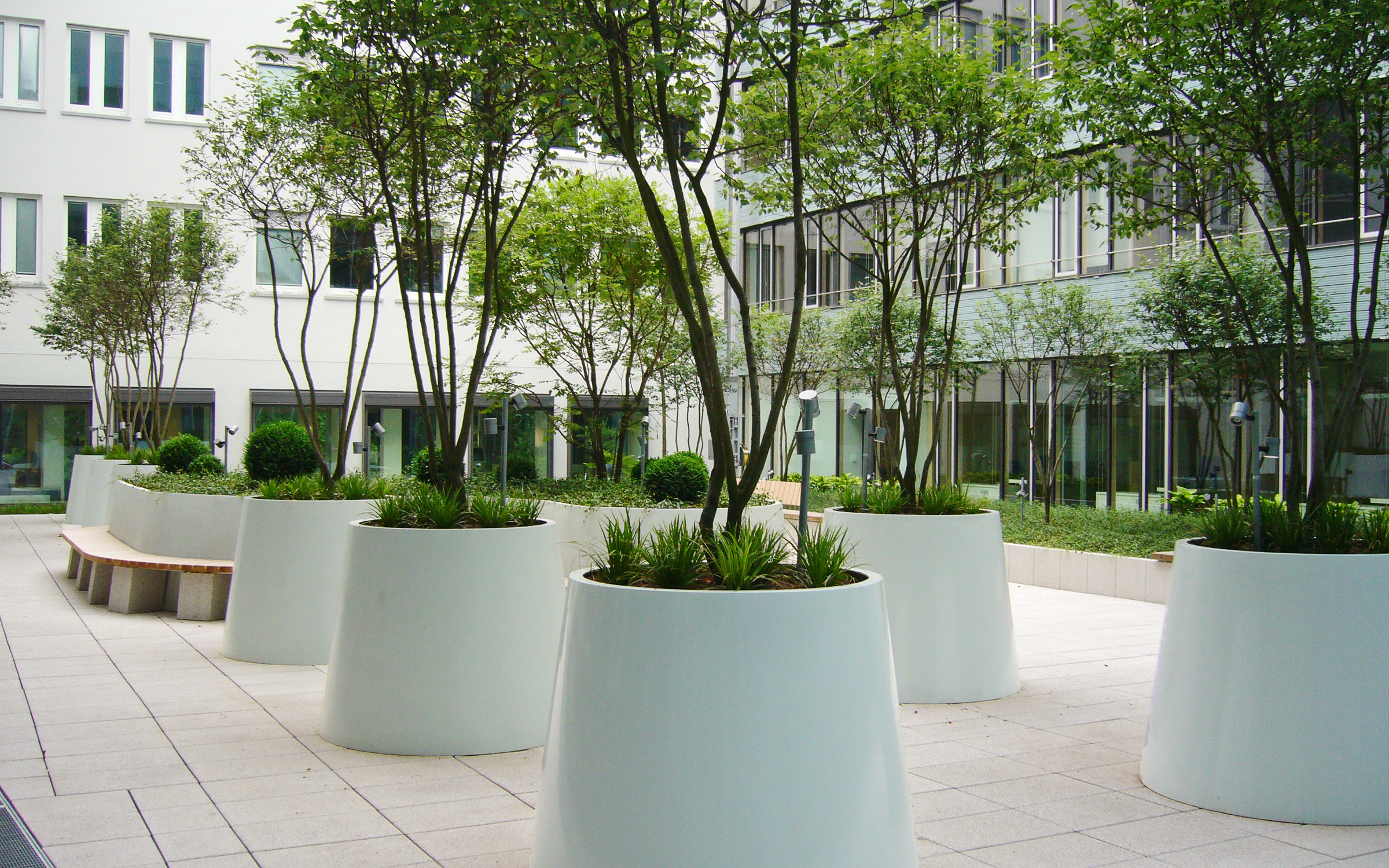 Courtyard with small trees in planters
