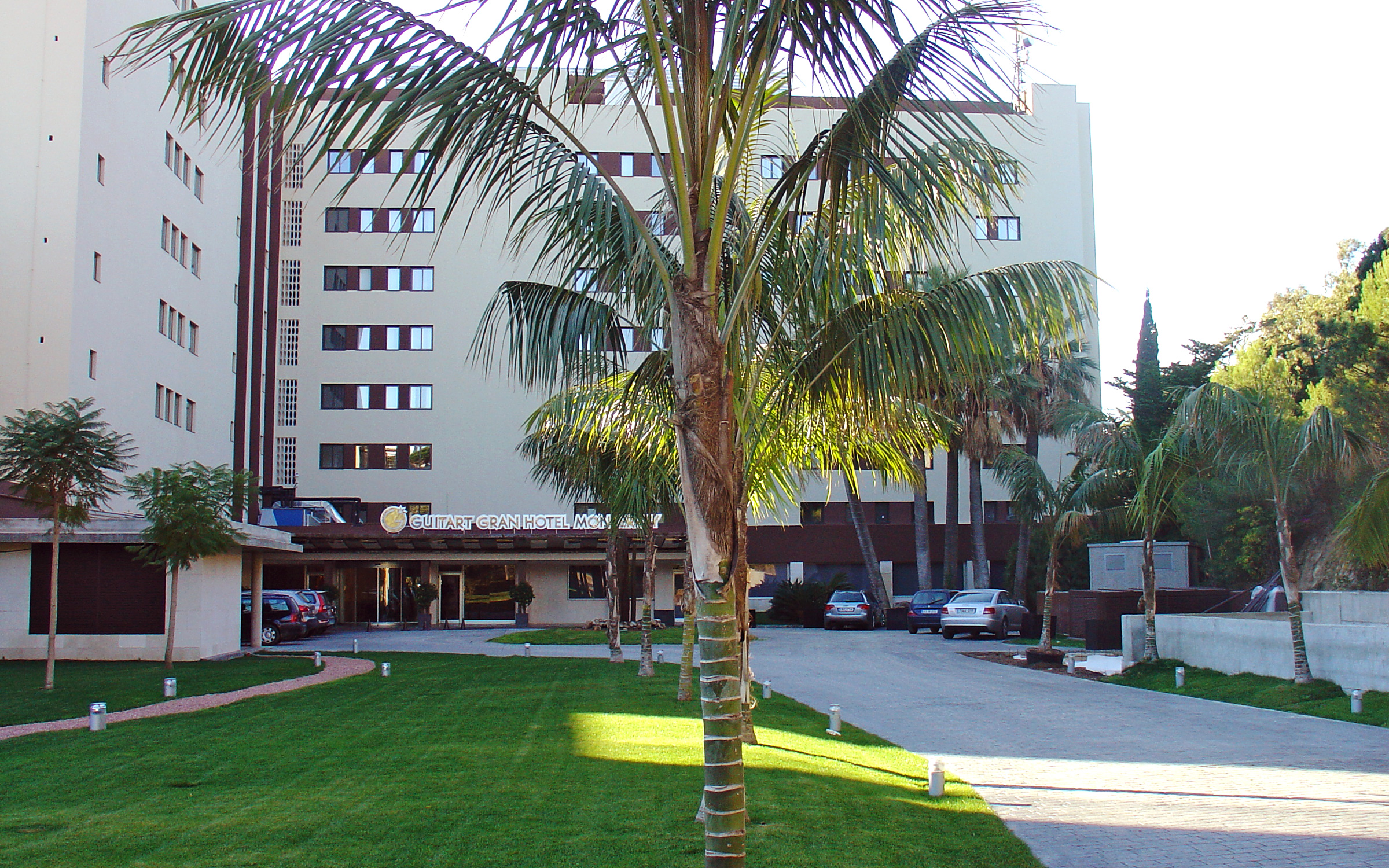 Lawn, palm trees and driveway infront of a hotel