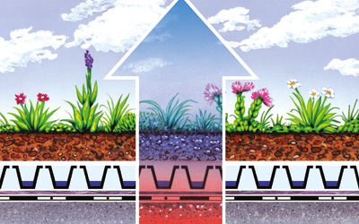 A green roof buffers temperature extremes