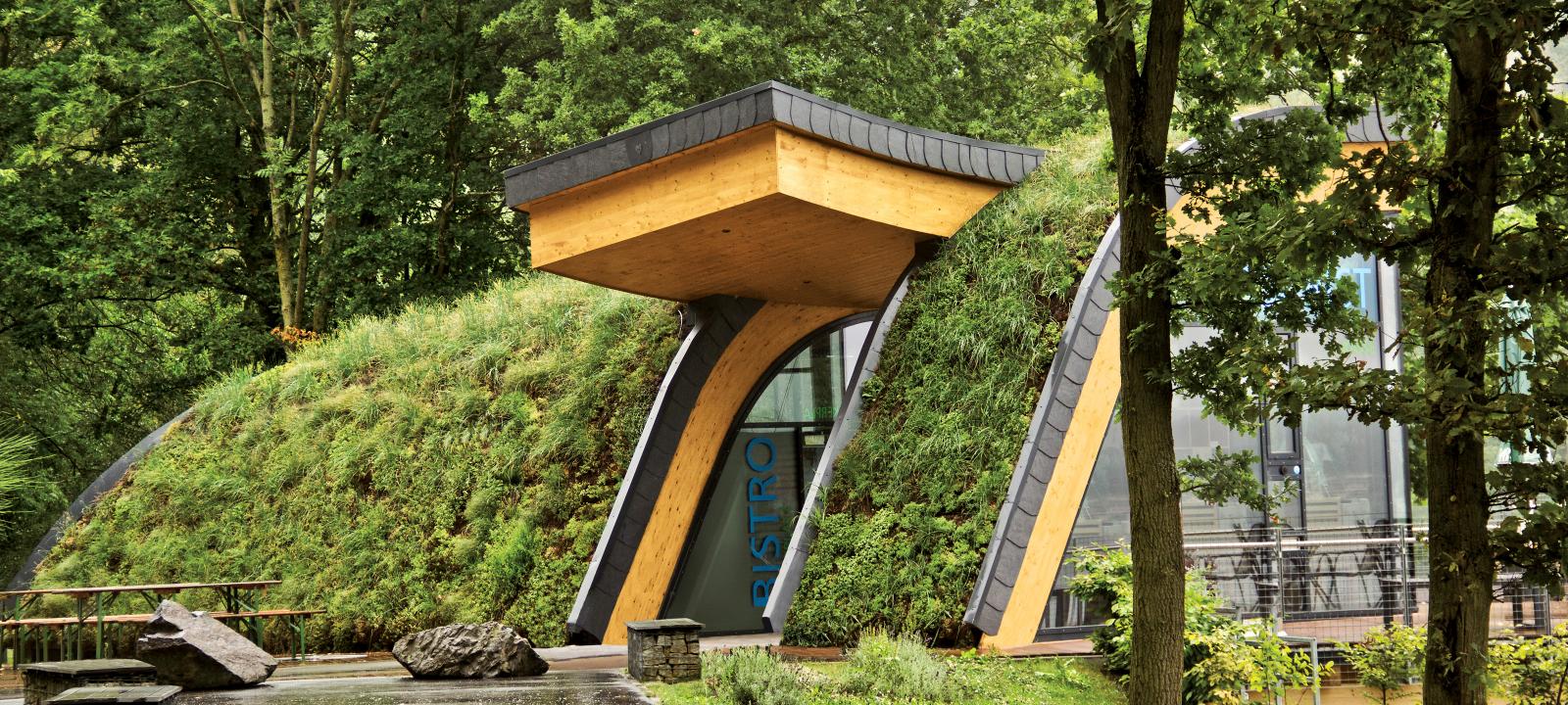 Steep pitched green roof