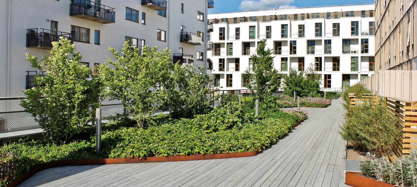 Roof garden with plant beds and timber decking