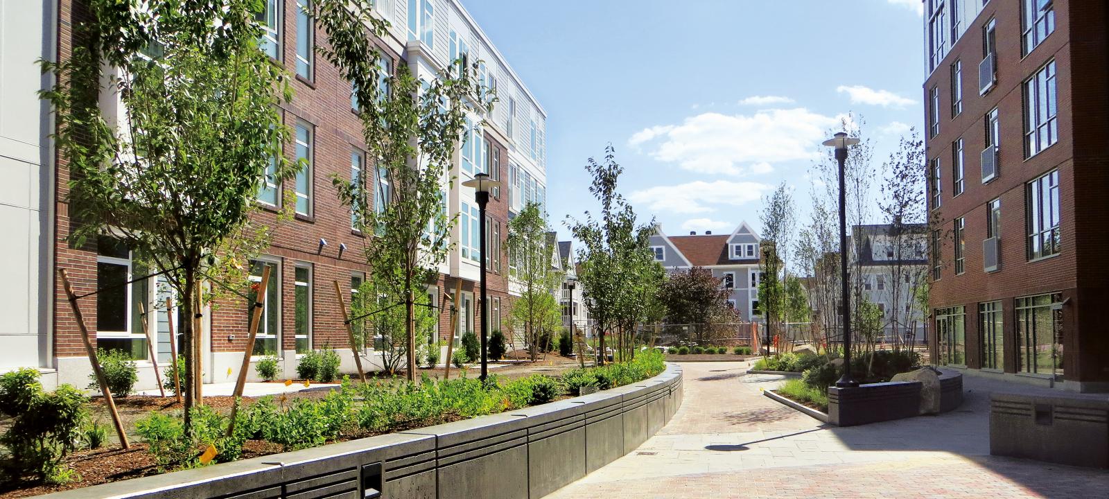 Courtyard with plant beds and small trees surrounded by residential buildings