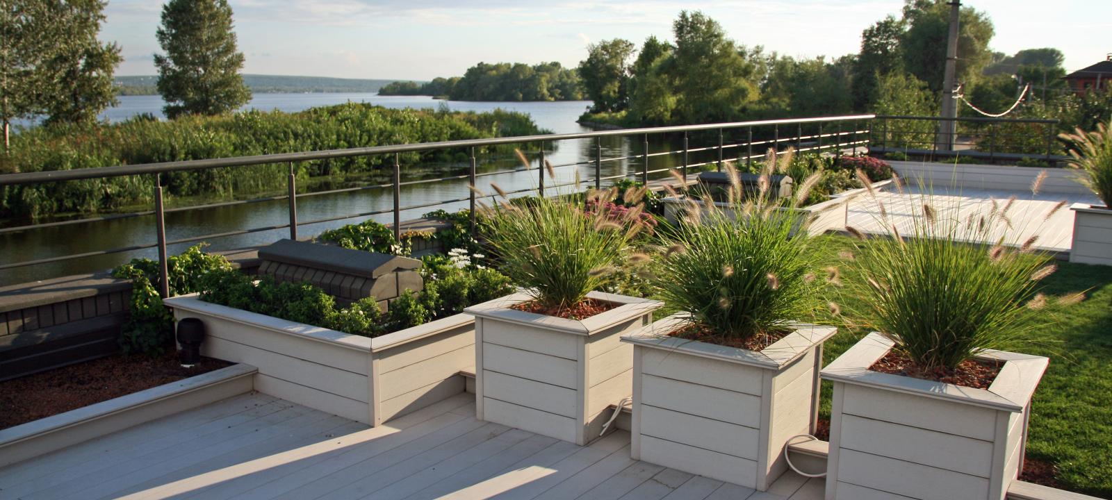 White timber decking and planters with ornamental grasses