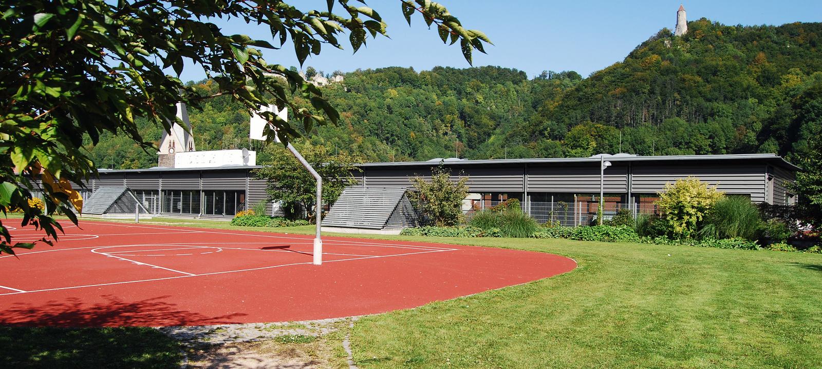 Roof garden with lawn and a basketball court