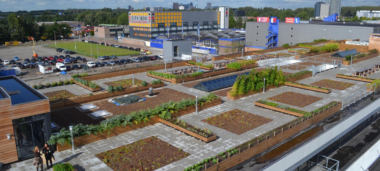 Large landscaped roof with plant beds and walkways