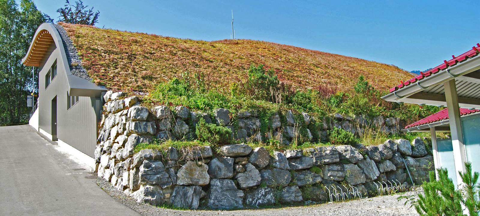 Sloped green roof