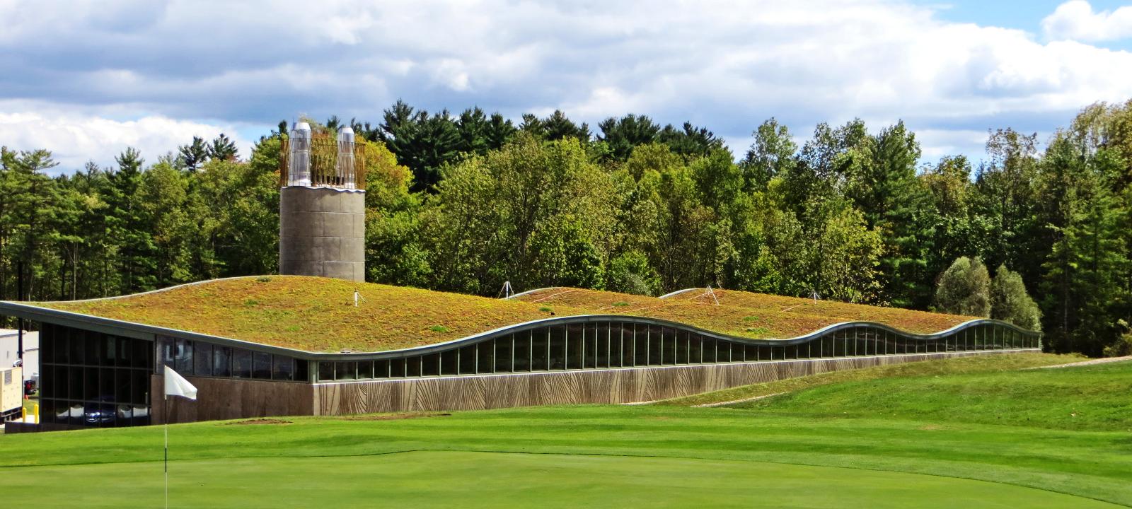 Pitched green roof surrounded by a green landscape 