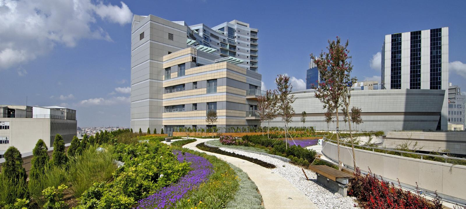 Roof garden with pathway, benches, trees and perennials