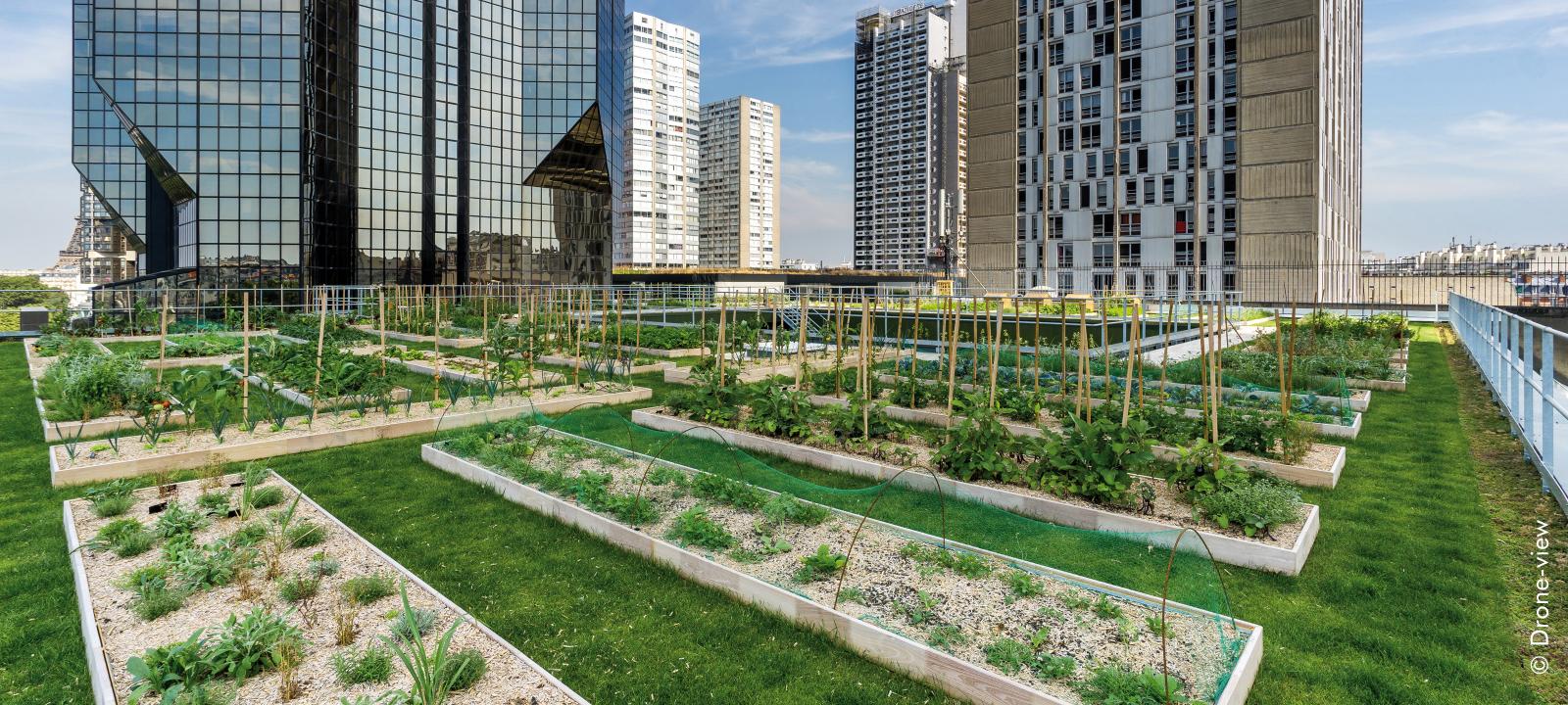 Urban Rooftop Farming | ZinCo Green Roof Systems USA