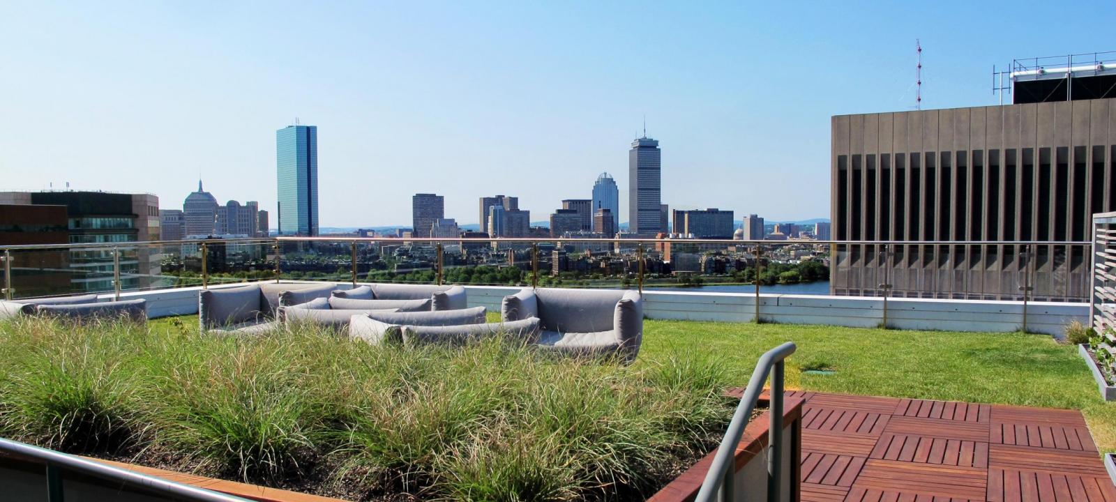 Эксплуатируемая плоская кровля Green Roof