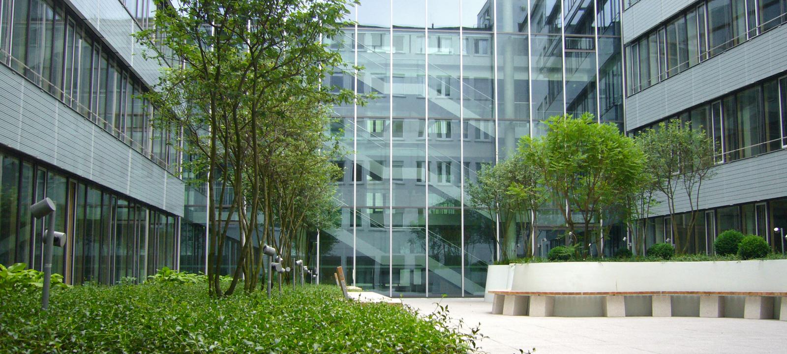 Green courtyard with planters