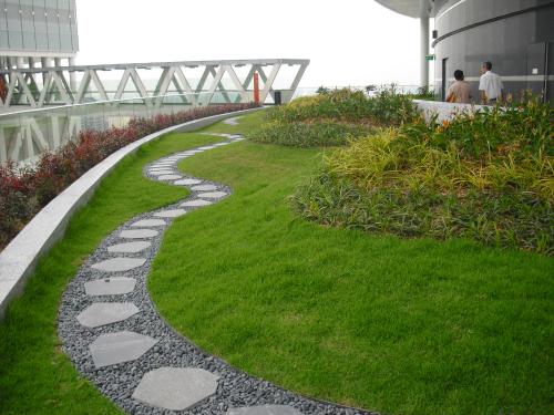 Roof garden with lawn