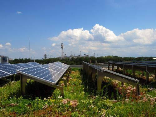 Photovoltaic system on a green roof