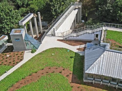 Bird's eye view onto the green roof