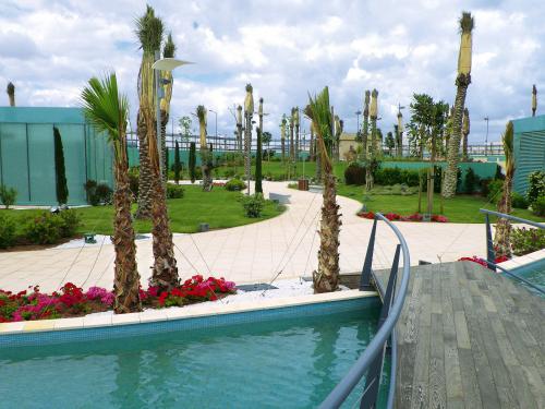 Pool with wooden bridge and palm trees