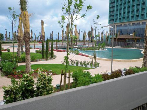 Roof garden with pool and palm trees