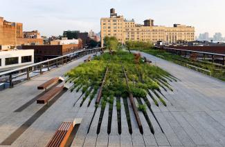 Concrete planks run into the greenery like a comb