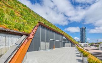 Steep pitched green roof with Sedum