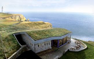 Building with green roof