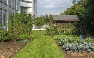 This allotment on the roof of the Technoseum in Mannheim is part of a permanent exhibition showing how people worked and fed themselves in former times. Roof garden with lawn and vegetable patches