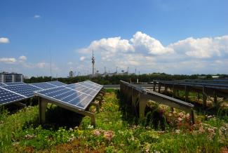 According to the results of the ZinCo tests, the power output of a solar module increases by about 4 % as a result of the cooling effect of a green roof. Photovoltaic system on a green roof
