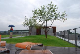 Woman with an umbrella in the rain on a green roof