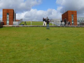 People on a green roof