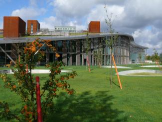 Pitched green roof