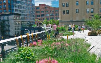 People strolling across an elevated park in the city