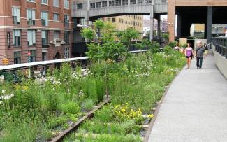 The Highline - New York (Phase II), The Strength of Architecture