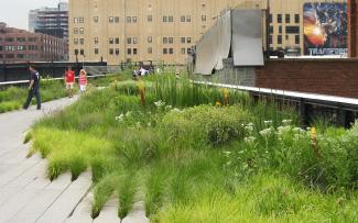 Elevated park with walkways