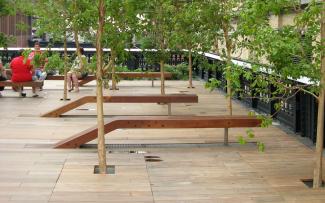 People sitting on benches under small trees