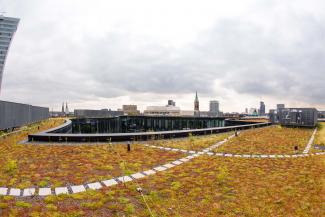 Extensive green roof