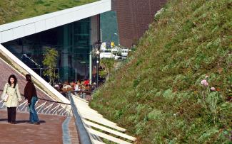 Pitched green roof