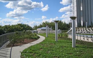 Roof garden