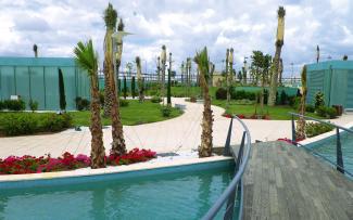 Pool with wooden bridge and palm trees