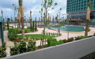 Roof garden with pool and palm trees