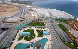 Bird's eye view onto the green roof