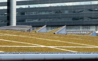 Green roof with skylights and photovoltaics