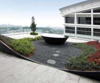 Roof garden with water basin