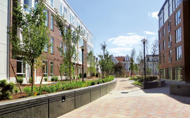 Courtyard with plant beds and small trees surrounded by residential buildings