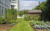 Roof garden with vegetable patches, lawn and a wooden shed